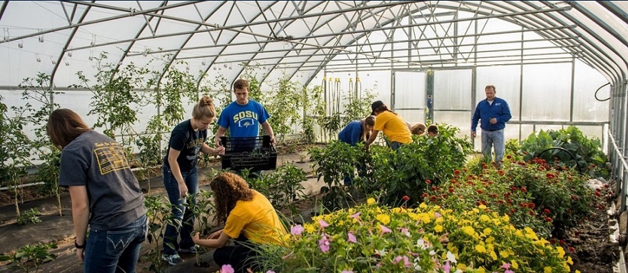 Students working in a greenhouse.